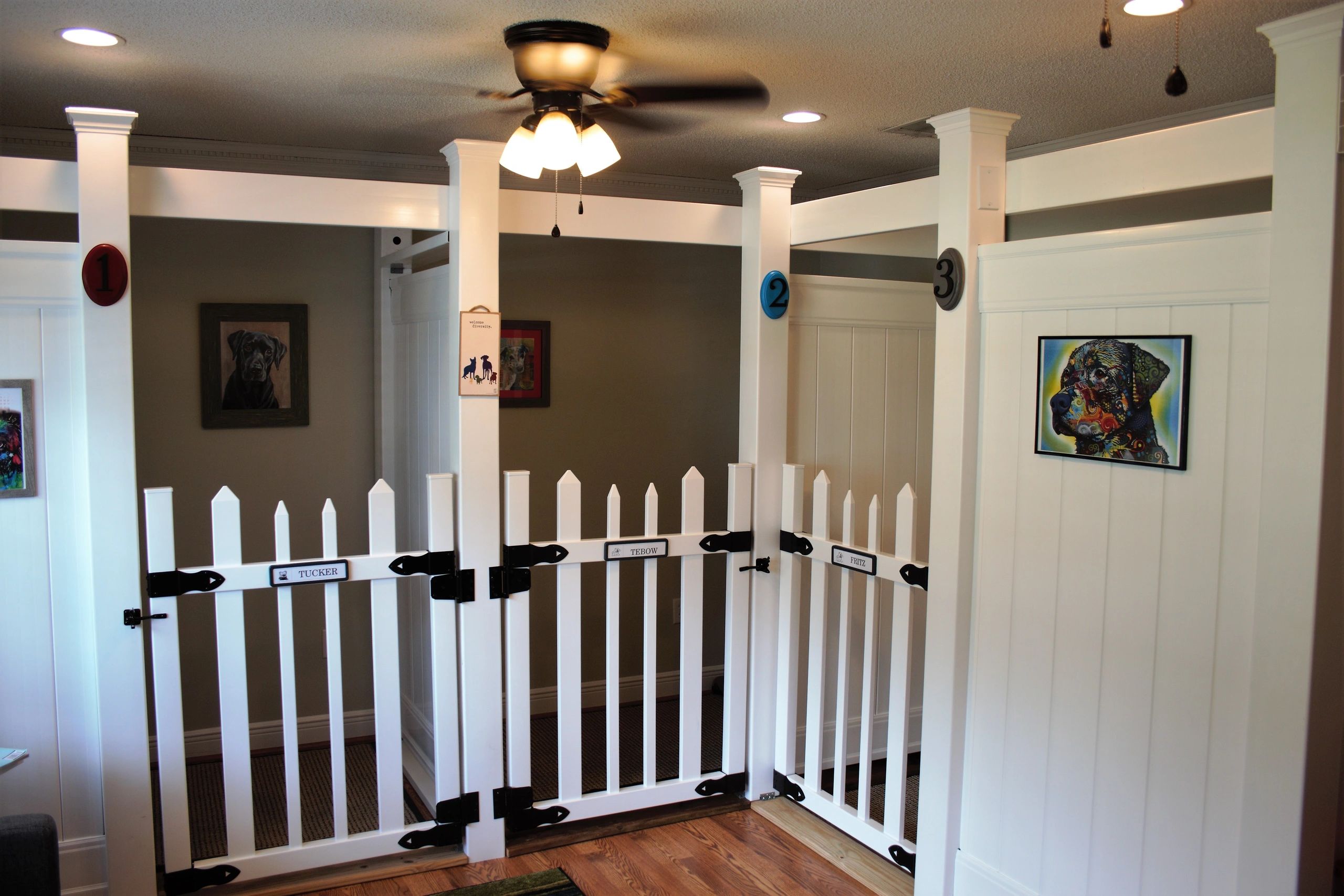 Ardy Mac's Dog House Dog Boarding, Dog Dare Care